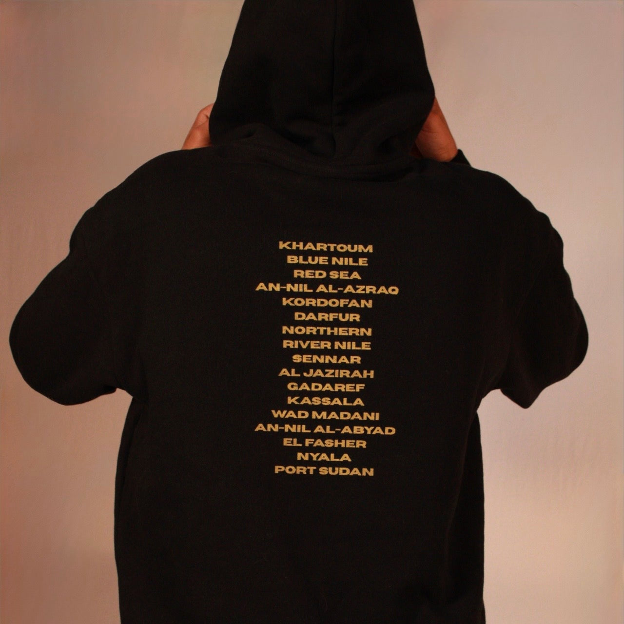 Alwarda hoodie black