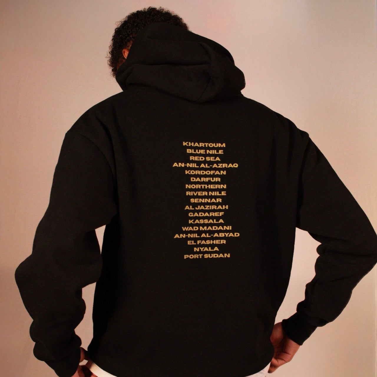 Alwarda hoodie black